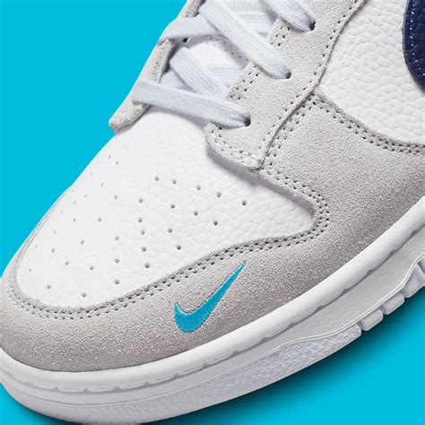 nike mini swoosh dunks